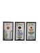 Tricolor Harmony – Set of 3 Frames